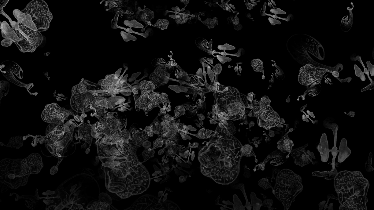 MAYA_Rain_JudithEgger